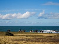 VOS VACANCES A CHEVAL ET A PONEY